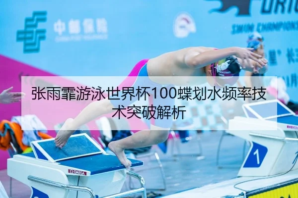 zhang-yu-fei-you-yong-shi-jie-bei-die-hua-shui-pin-lv-ji-shu-tu-po-jie-xi-3-803.jpg