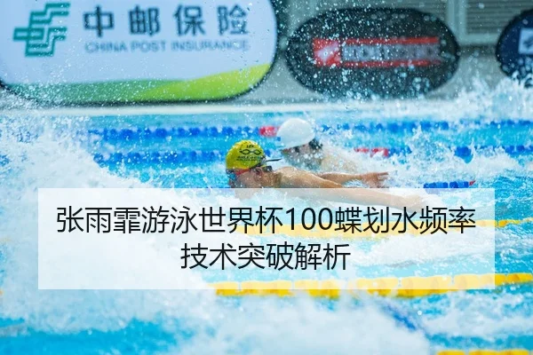 张雨霏游泳世界杯100蝶划水频率技术突破解析