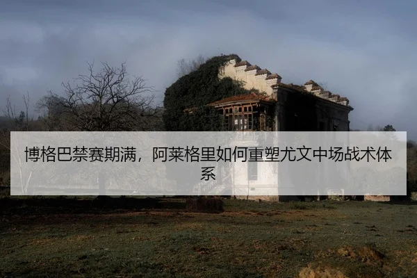 bo-ge-ba-jin-sai-qi-man-a-lai-ge-li-ru-he-zhong-su-you-wen-zhong-chang-zhan-shu-ti-xi-2-112.jpg